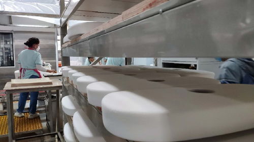 永川帝王潔具智能衛(wèi)浴生產(chǎn)項目 打造全國最大智能馬桶工廠及安裝服務(wù)新標(biāo)桿