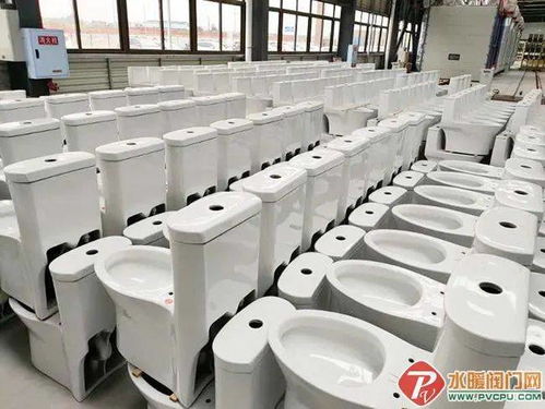 永川帝王潔具 “帝王速度”打造全國(guó)最大智能馬桶工廠，推動(dòng)配件產(chǎn)業(yè)升級(jí)