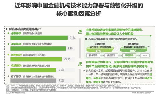 2025年中國金融科技（FinTech）行業發展洞察報告 信息技術咨詢服務的核心作用